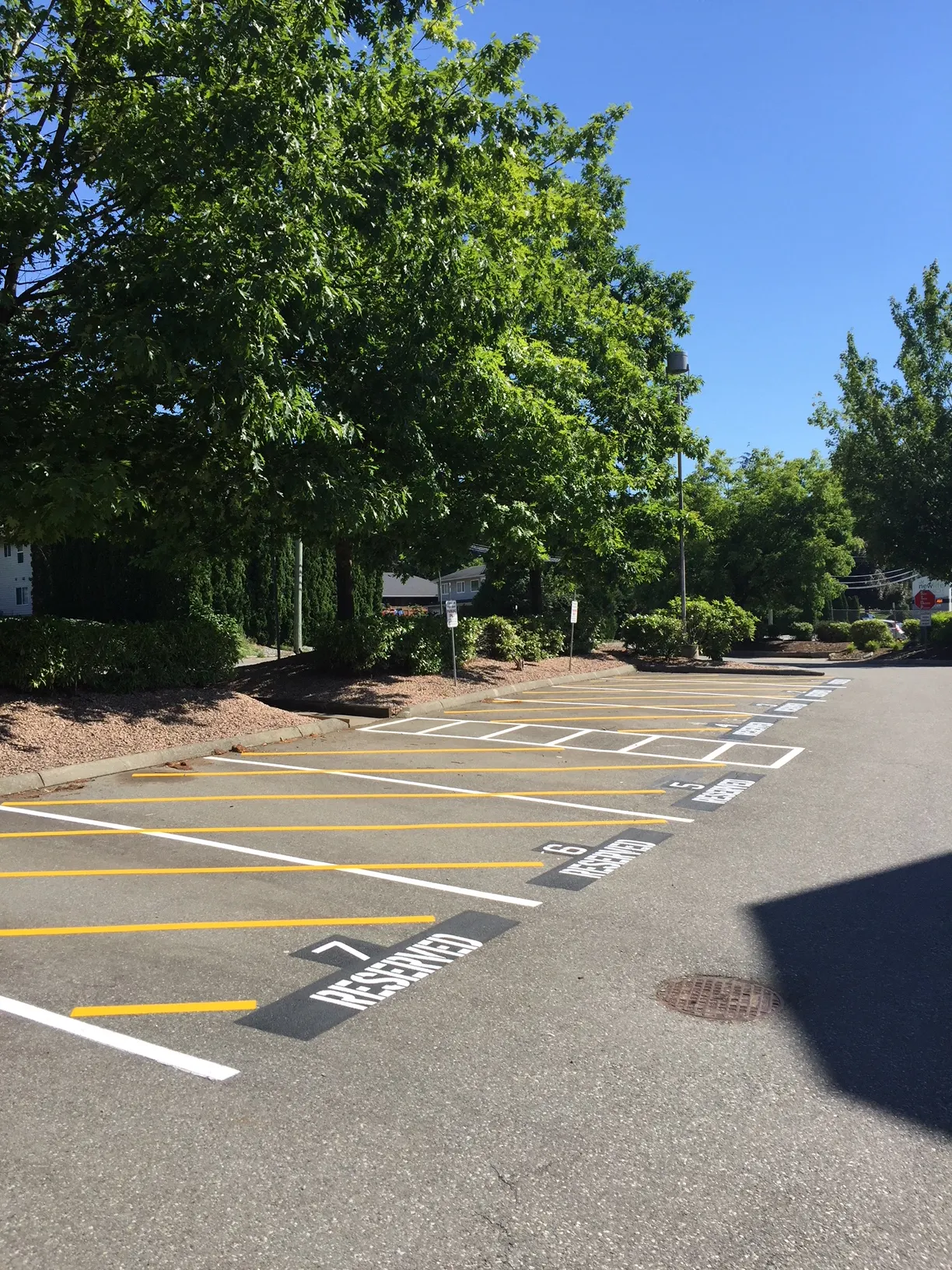 Freshly painted parking lot lines and numbered reserved stalls in the Fraser Valley by Master Painting & Renovations