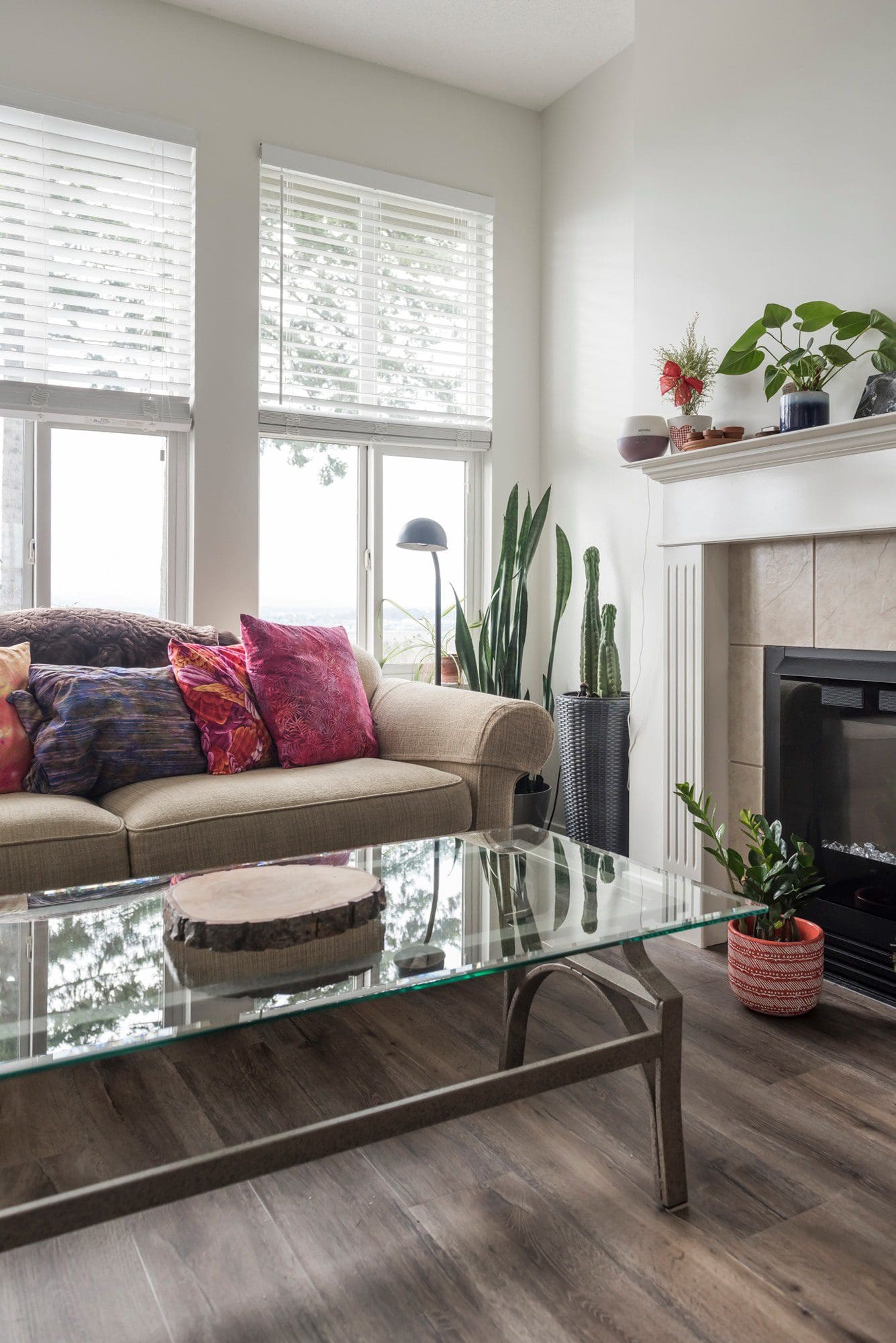Living room with couch and plants Chilliwack BC