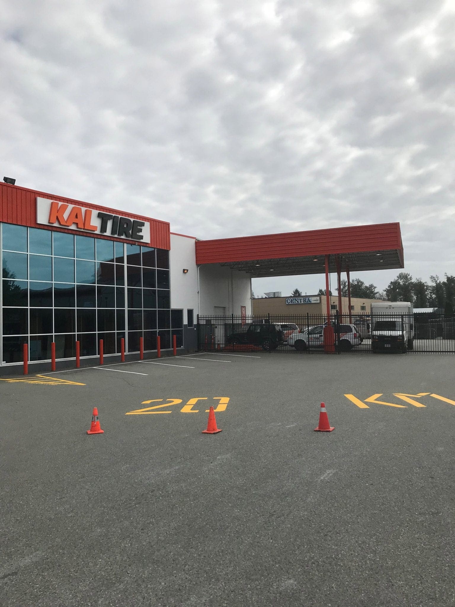 Line painting project 11