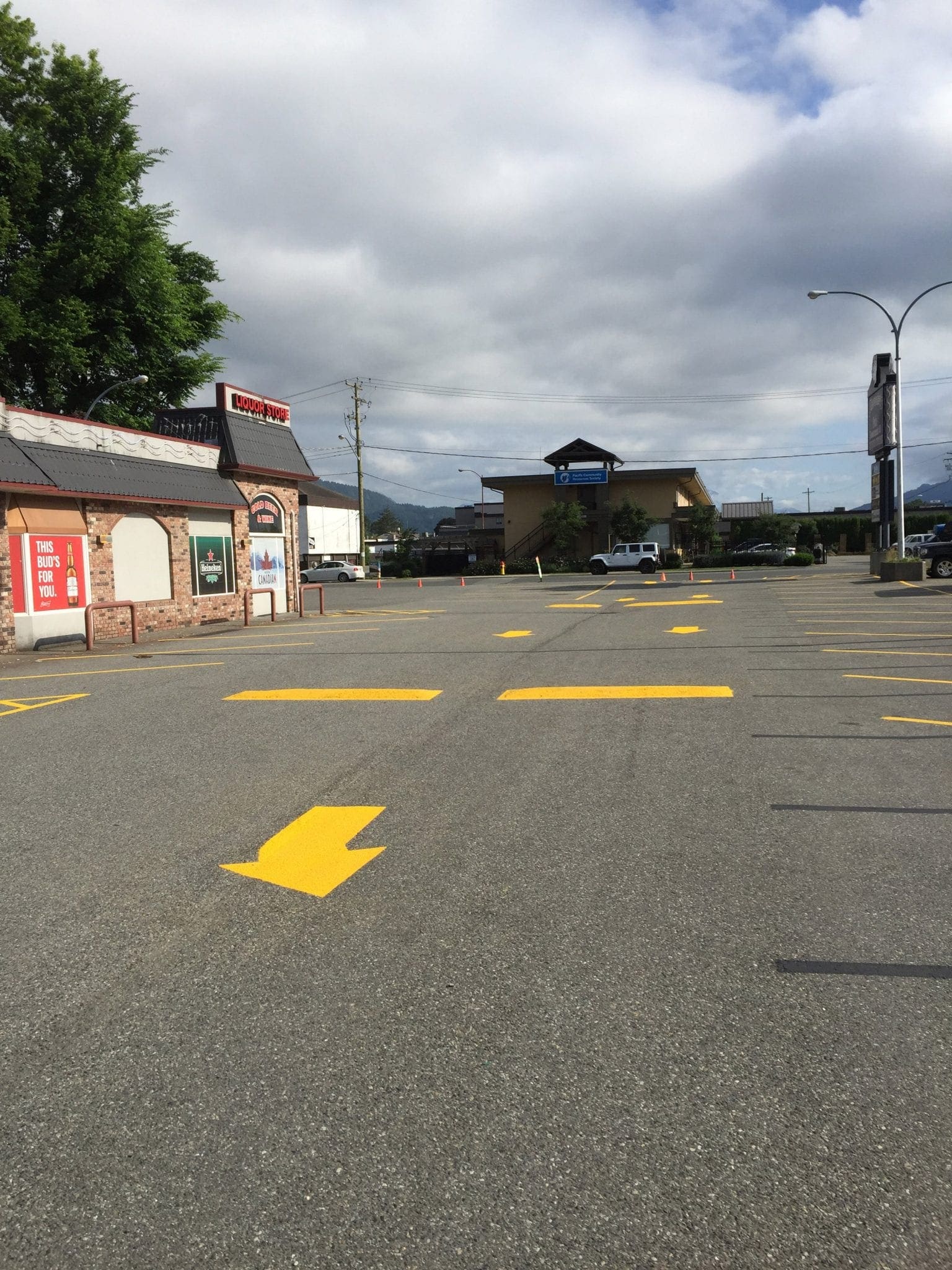 Line painting project 10