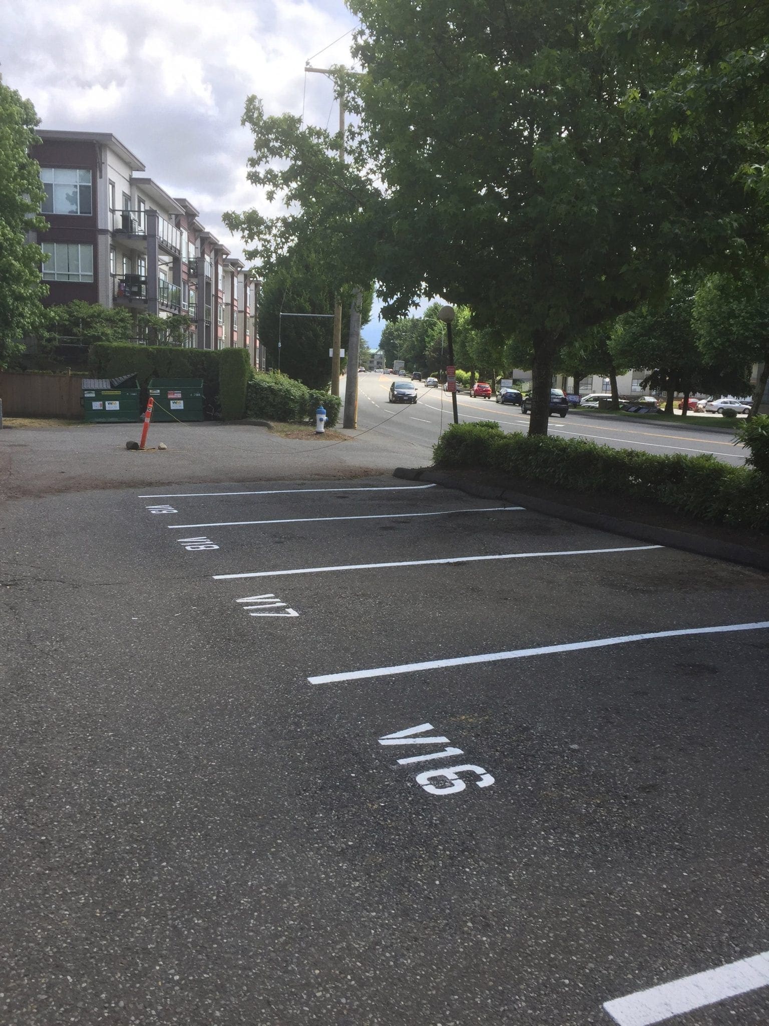 Line painting project 7