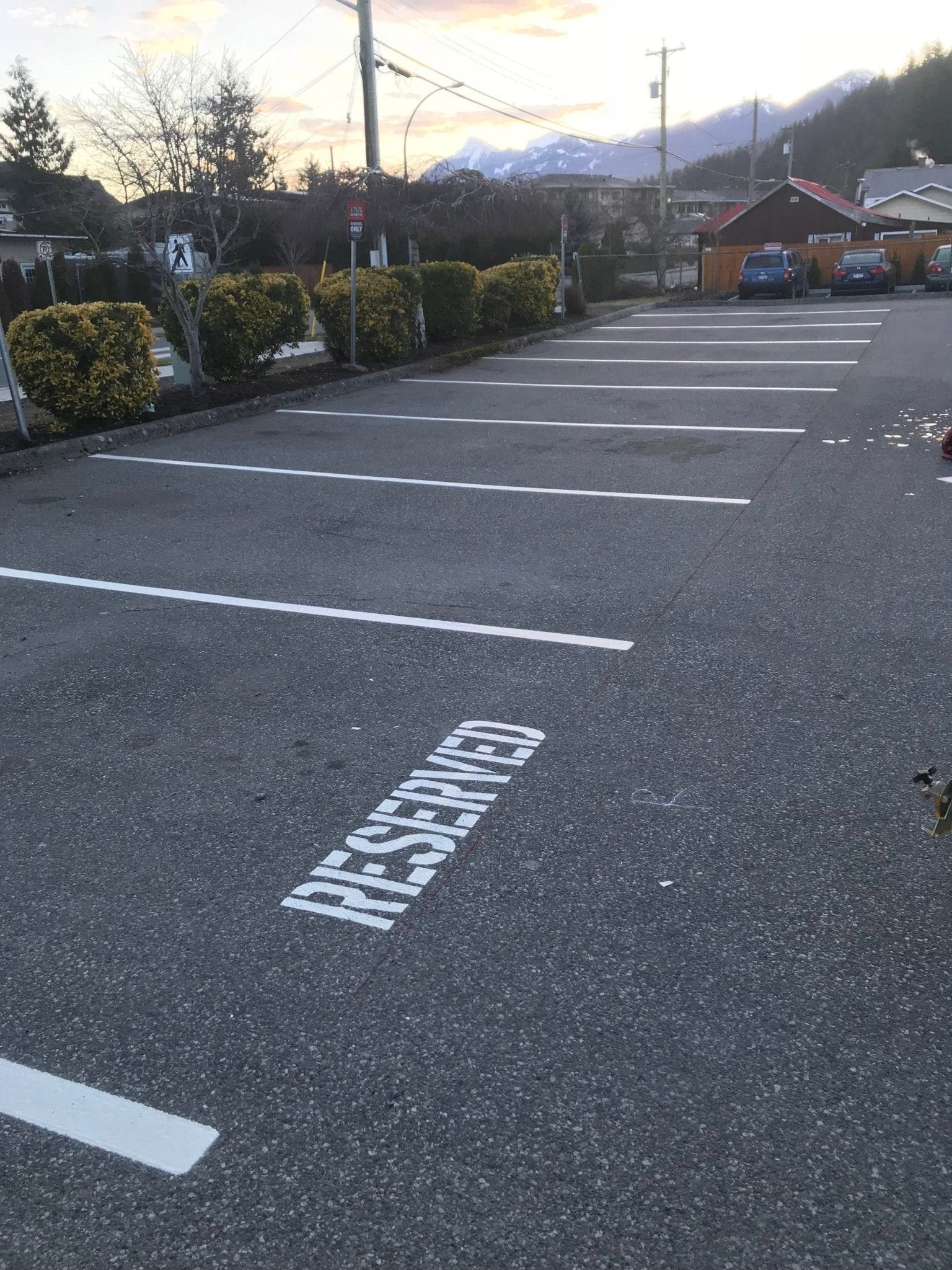 Line painting project 12