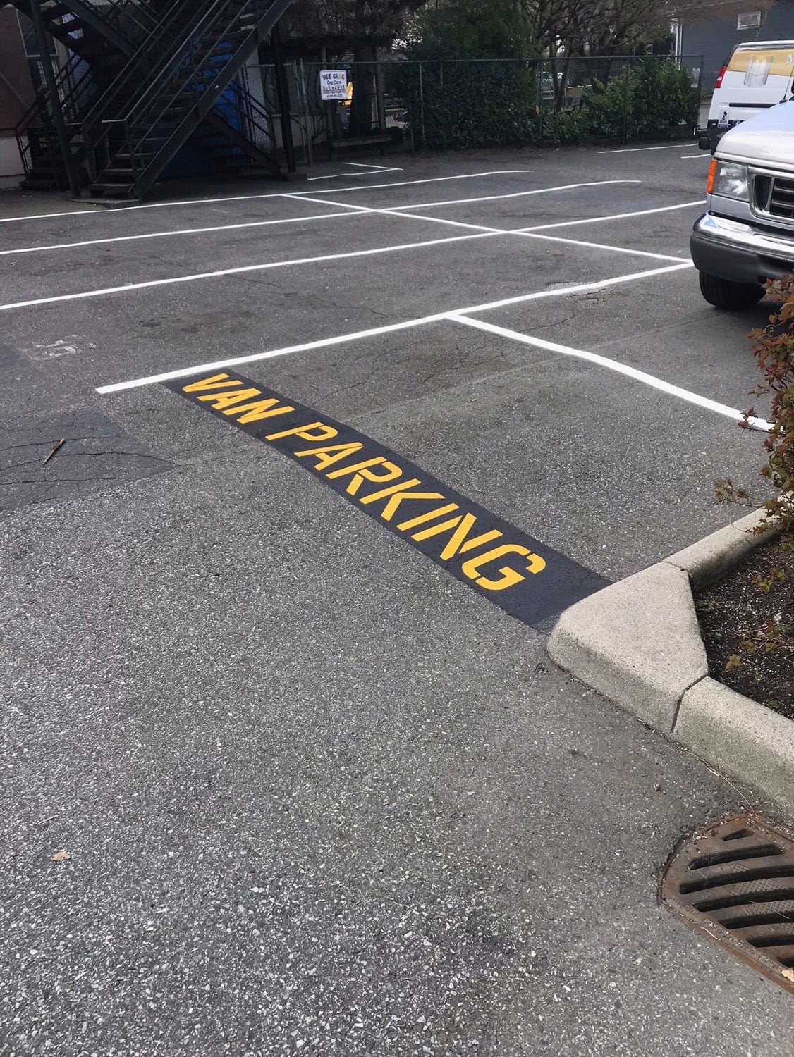 Line painting project 50