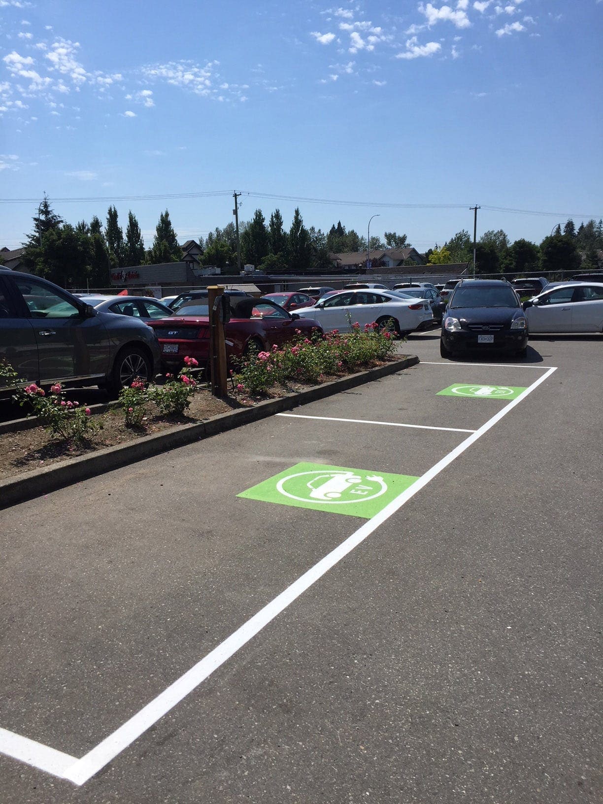 Line painting project 51