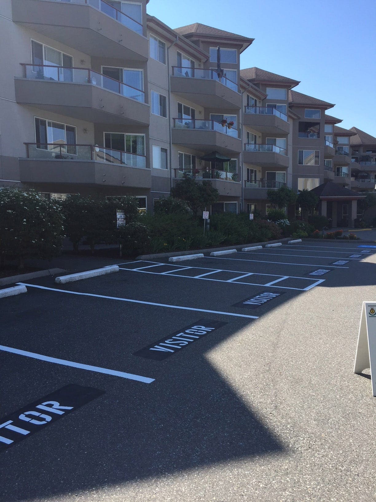 Line painting project 59