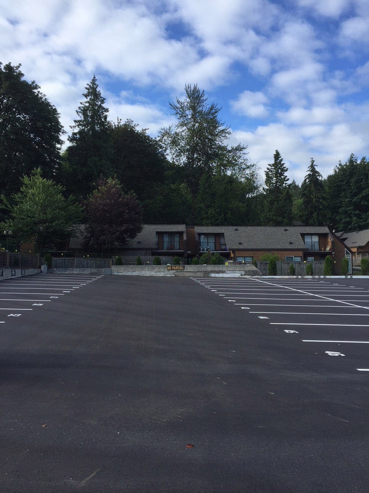 Line painting project 52