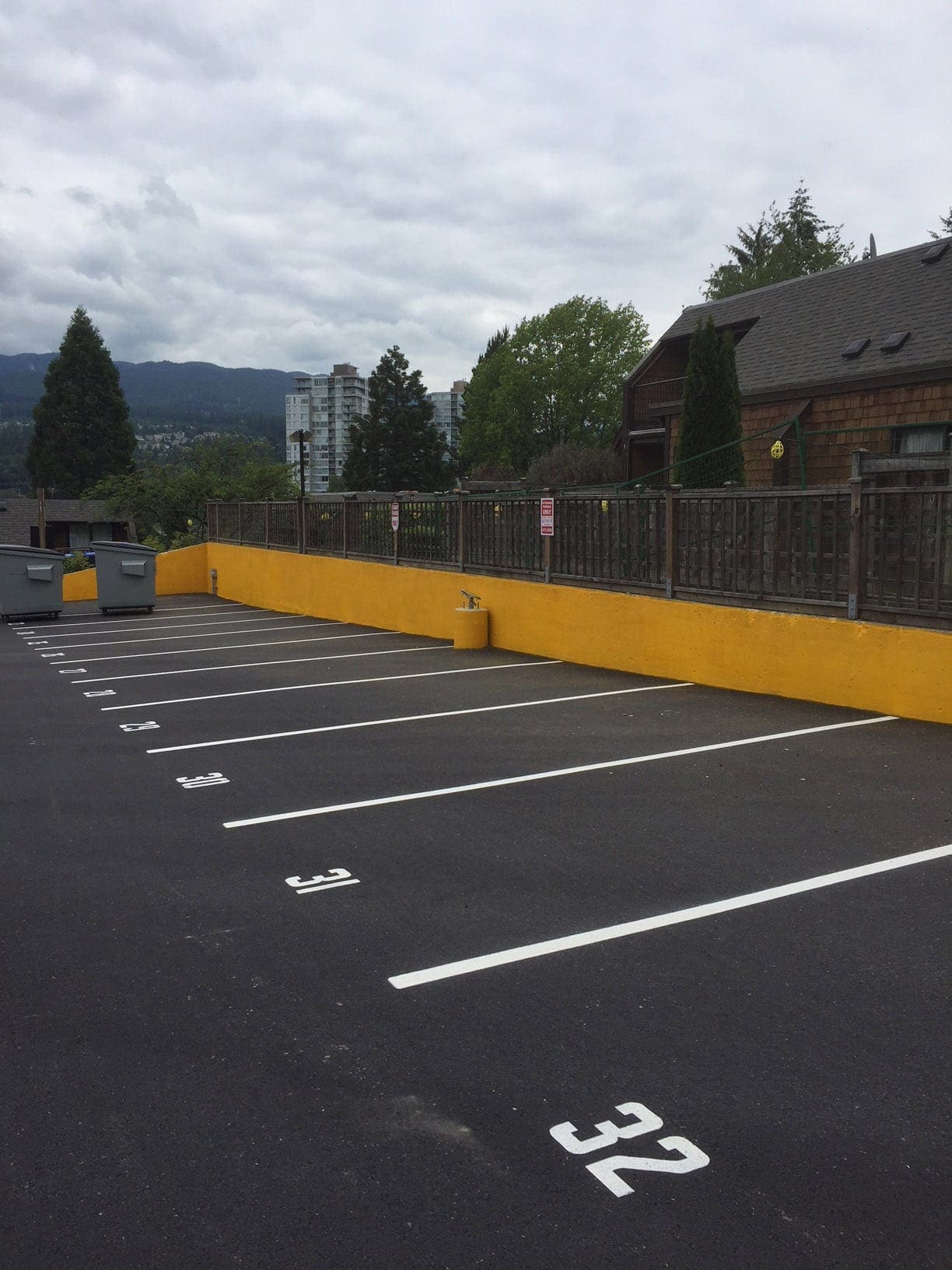 Line painting project 41