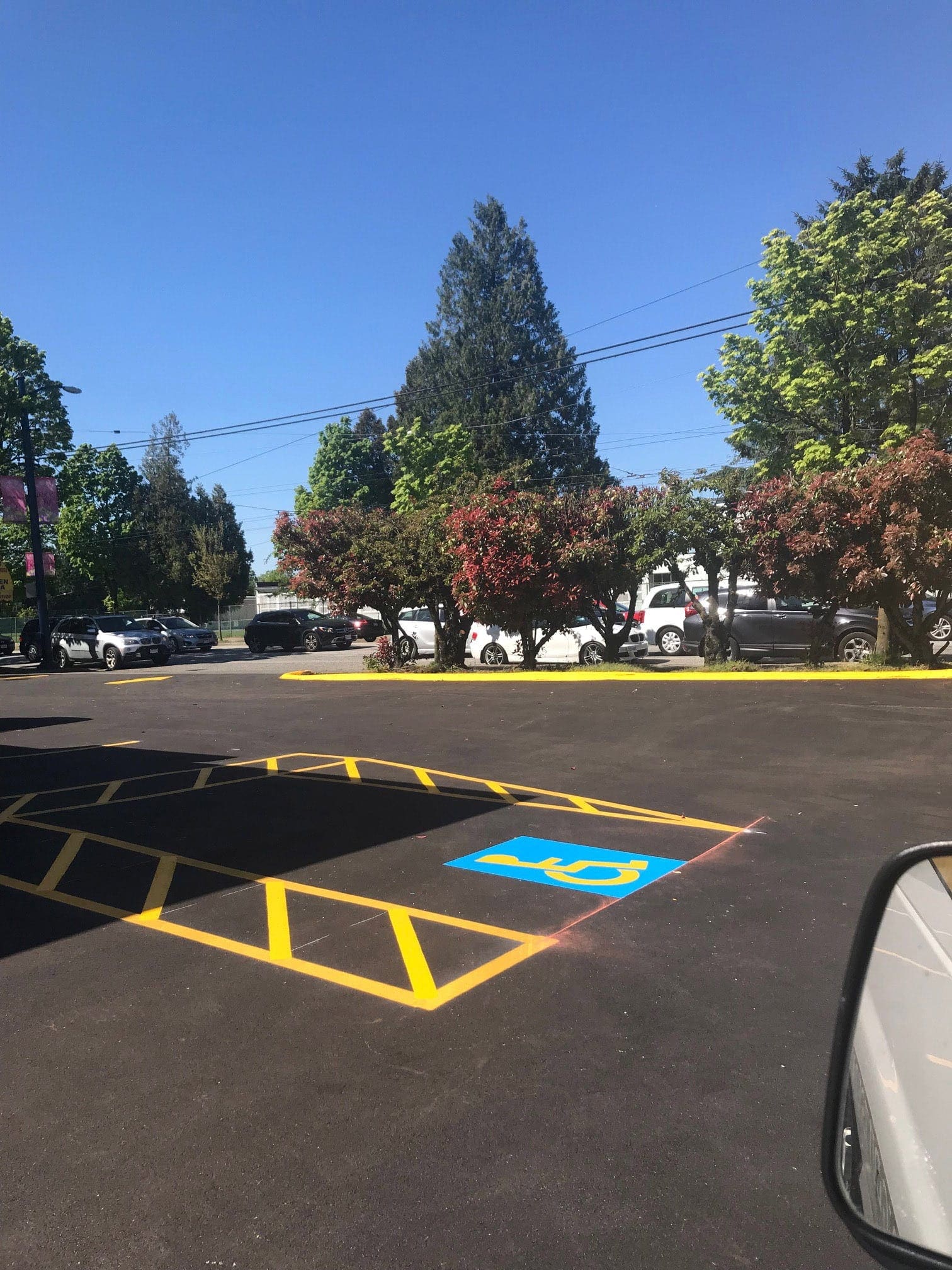 Line painting project 14